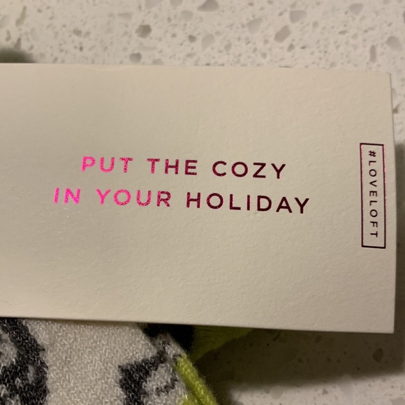 LOFT Owl and Stripes 2-Pack Cozy Socks New With Tag - Picture 2 of 8